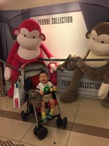 吃瓜娱乐咩咩羊,揭秘娱乐圈幕后故事